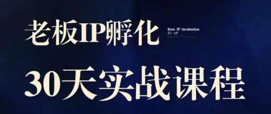 【第5697期】老板IP打造：诸葛·2023老板IP实战课，实体同城引流获客，IP孵化必听