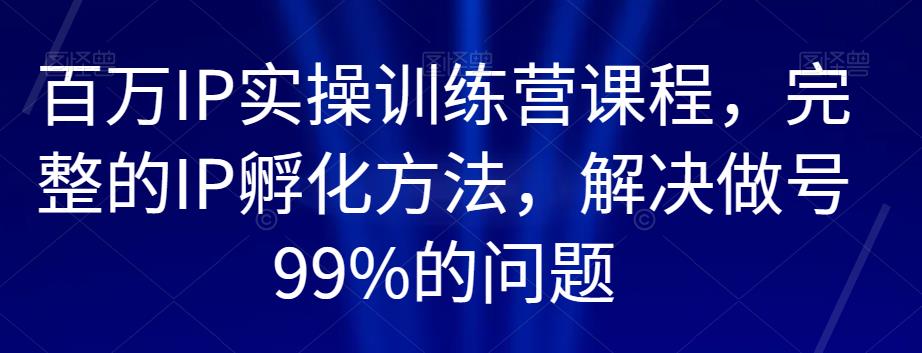 【第5943期】短视频ip打造实操训练营，完整的IP孵化方法，解决做号99%的问题