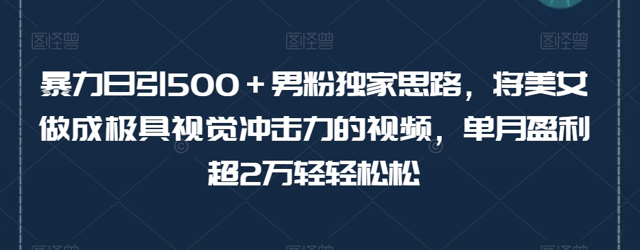 【6165期】暴力日引500＋男粉独家思路，将美女做成极具视觉冲击力的视频，单月盈利超2万