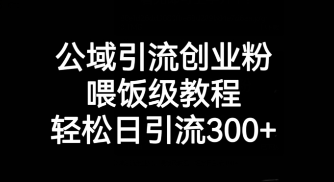 【6195期】公域引流创业粉，喂饭级教程，轻松日引流300+【揭秘】