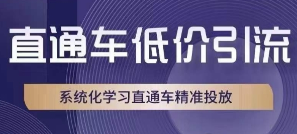 【6241期】淘宝直通车低价引流课，系统化学习直通车精准投放