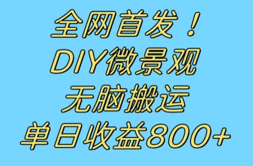 【第6047期】全网首发冷门赛道！DIY微景观，无脑搬运视频，日收益800+