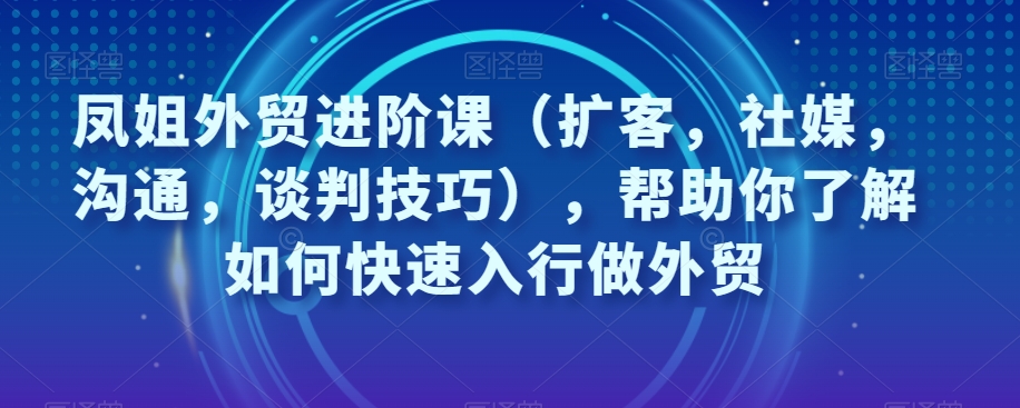 【6185期】凤姐外贸进阶课（扩客，社媒，沟通，谈判技巧），帮助你快速入行做外贸