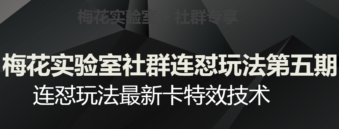 【6272期】梅花实验室社群连怼玩法五期，视频号连怼玩法最新卡特效技术