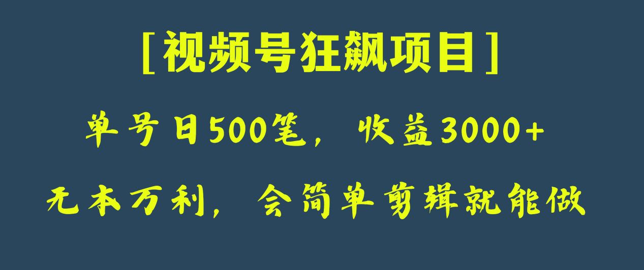 【6402期】日收款500笔，纯利润3000+，视频号狂飙副业项目！