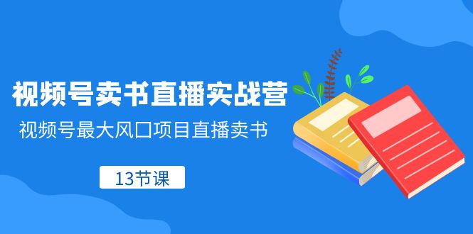 【6518期】视频号-卖书直播实战营，视频号最大风囗项目直播卖书（13节课）