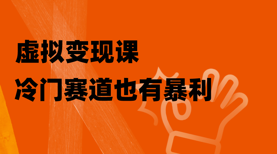 【6588期】虚拟变现课，冷门赛道也有暴利，手把手教你玩转冷门私域