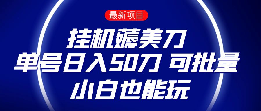 【6627期】薅羊毛项目 零投入挂机薅美刀 单号日入50刀 可批量 小白也能玩