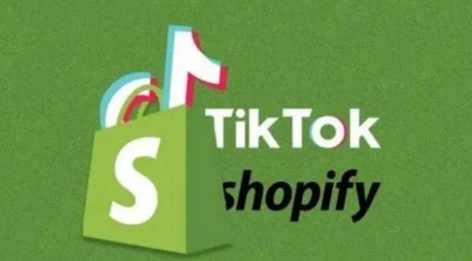 【6778期】TikTok全案短视频+独立站，包括：建立域名、产品上架