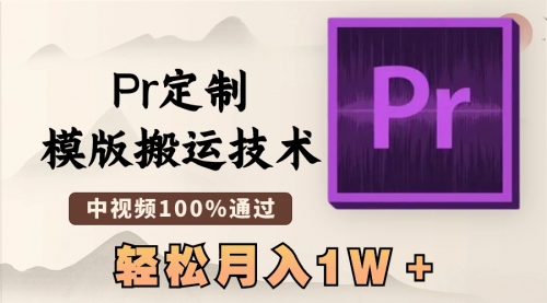 【6816期】最新Pr定制模版搬运技术，中视频100%通过