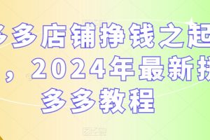 【6981期】多多店铺挣钱之起店，2024年最新拼多多教程