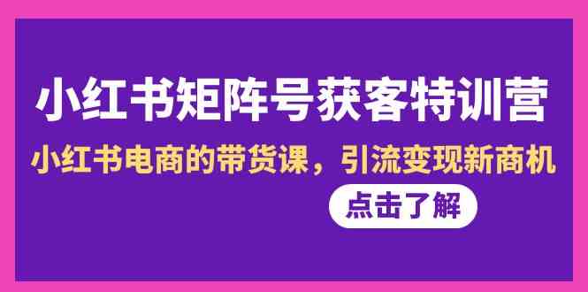 【7006期】小红书矩阵号获客特训营-10期，小红书电商的带货课，引流变现新商机