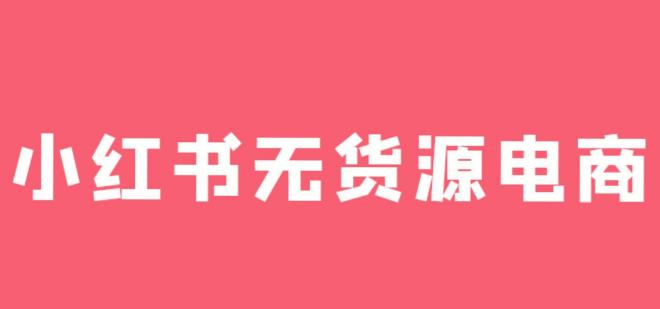 【7039期】王叔笔记-小红书电商无货源打卡，抢先占领小红书无货源电商风口