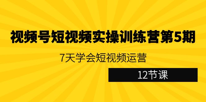 【7050期】视频号短视频实操训练营5期：7天学会短视频运营（12节课）