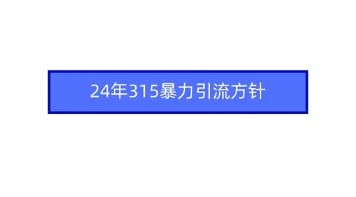 【7173期】2024年315暴力引流方针