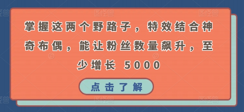 【7373期】两个野路子，特效结合神奇布偶，能让粉丝数量飙升