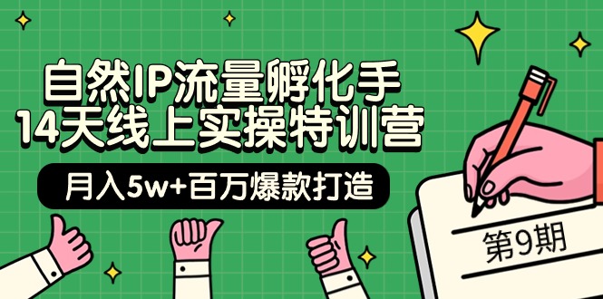 【7457期】自然IP流量孵化手 14天线上实操特训营【9期】月入5w+百万爆款打造 (74节)