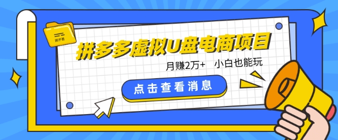 【7538期】拼多多虚拟U盘电商红利项目：月赚2万+，新手小白也能玩