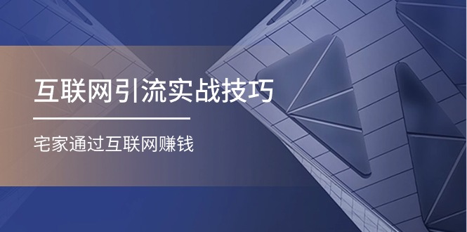 【7894期】互联网引流实操技巧(适合微商，吸引宝妈)，宅家通过互联网赚钱（17节）