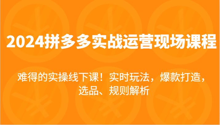 【8065期】2024拼多多实战运营现场课，实时玩法，爆款打造，选品、规则解析，难得的实操线下课！