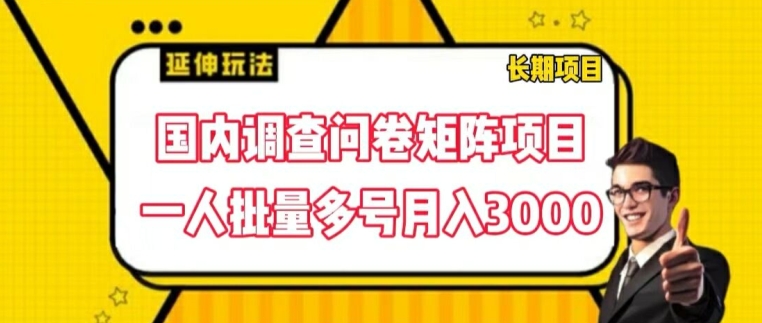 国内调查问卷矩阵项目，一人批量多号月入3000