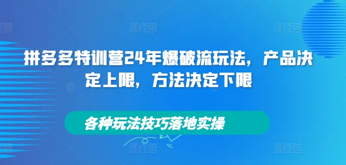 【8253期】拼多多特训营24年爆破流玩法，各种玩法技巧落地实操