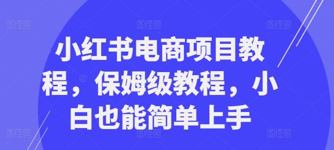 【8447期】小红书电商项目教程，保姆级教程，小白也能简单上手