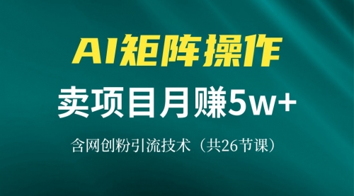 【8613期】网创IP打造课，借助AI卖项目月赚5万+，含引流技术（共26节课）