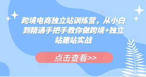 【8680期】跨境电商独立站训练营，从小白到精通手把手教你做跨境+独立站建站实战