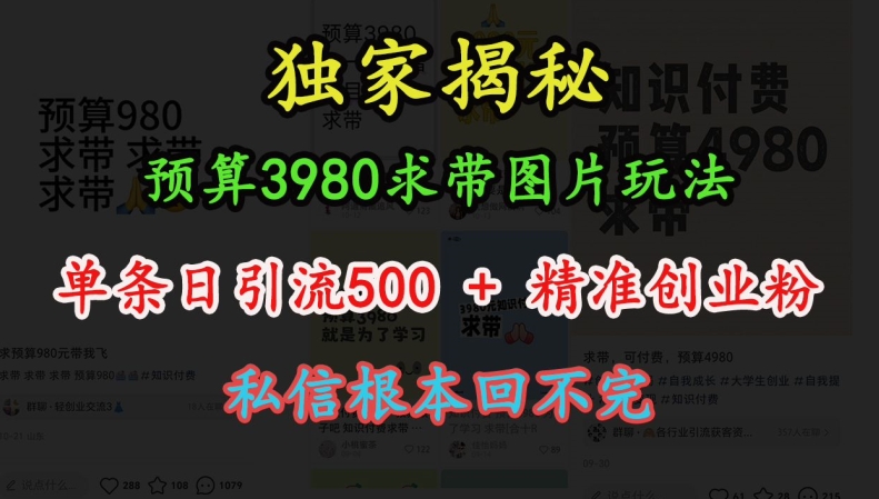 【8689期】图片玩法，单条日引流500+精准创业粉，私信根本回不完