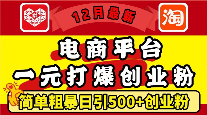 【第8743期】12月最新：电商平台1元打爆创业粉，简单粗暴日引500+精准创业粉插图