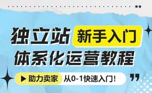 【8826期】独立站新手入门体系化运营教程，助力独立站卖家从0-1快速入门