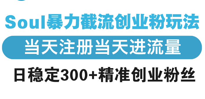 【8841期】Soul暴力截流创业粉玩法，当天注册当天进流量，日稳定300+精准创业粉丝