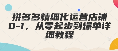 【8896期】拼多多精细化运营店铺0-1，从零起步到爆单详细教程