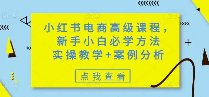 【9053期】小红书电商高级课程，新手小白必学方法，实操教学+案例分析