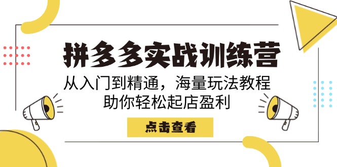 【第9073期】拼多多实战训练营，从入门到精通，海量玩法教程，助你轻松起店盈利插图