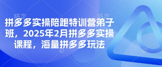 【第9094期】拼多多实操陪跑特训营弟子班，2025年2月拼多多实操课程，海量拼多多玩法插图