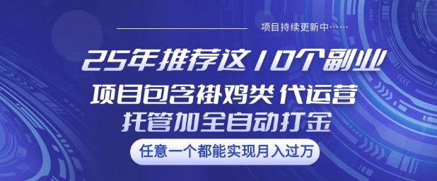 【9100期】25年10个副业项目包含褂鸡类、代运营托管类、全自动打金类【揭秘】