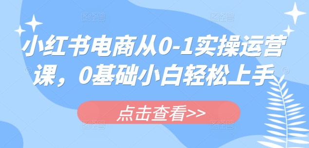 【第9160期】小红书电商从0-1实操运营课，0基础小白轻松上手插图