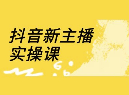 【9204期】抖音新主播实操课，直播间流量运营线上实操课(18节)